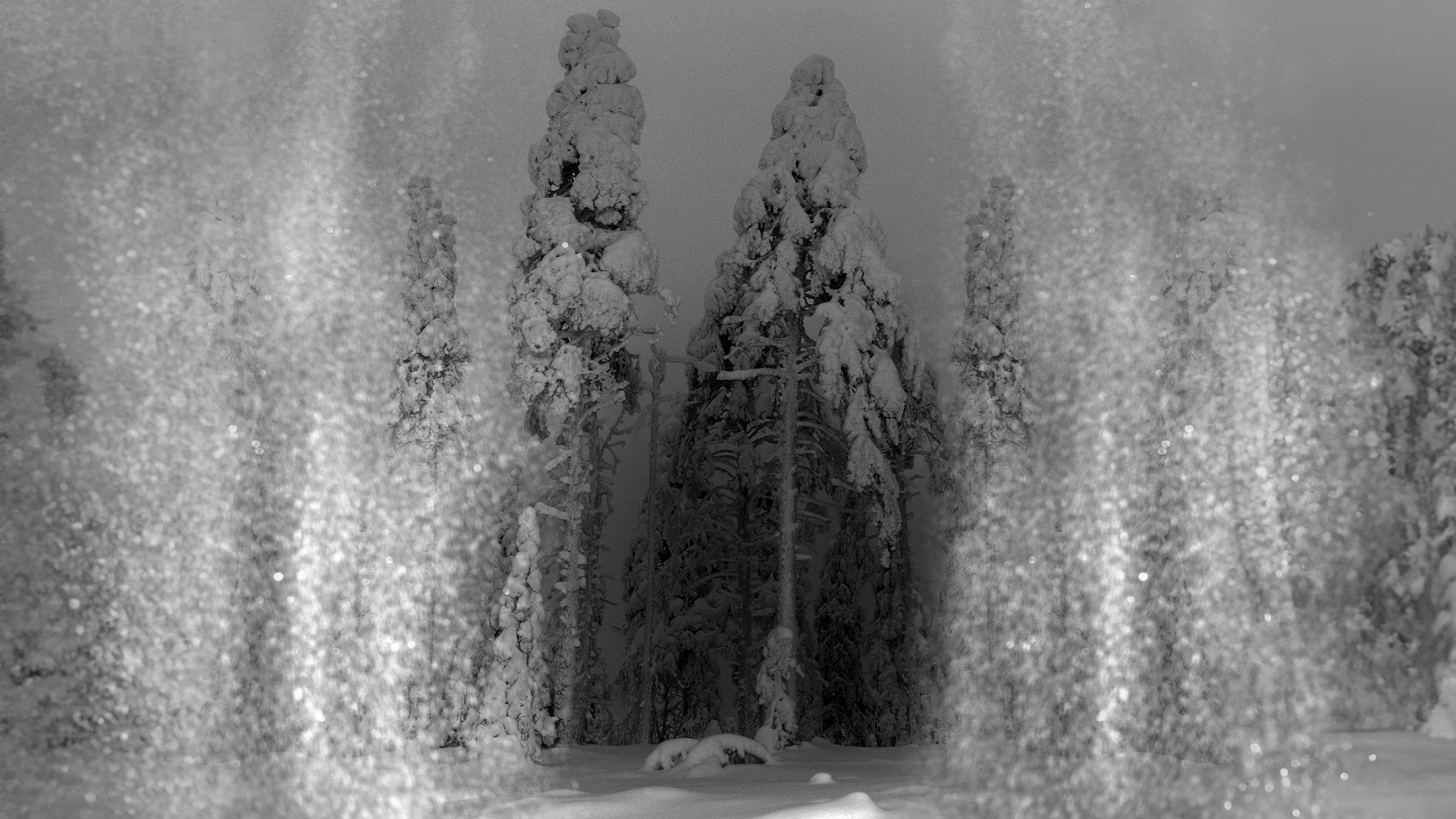 MARIA LAX_TBT_16 remade